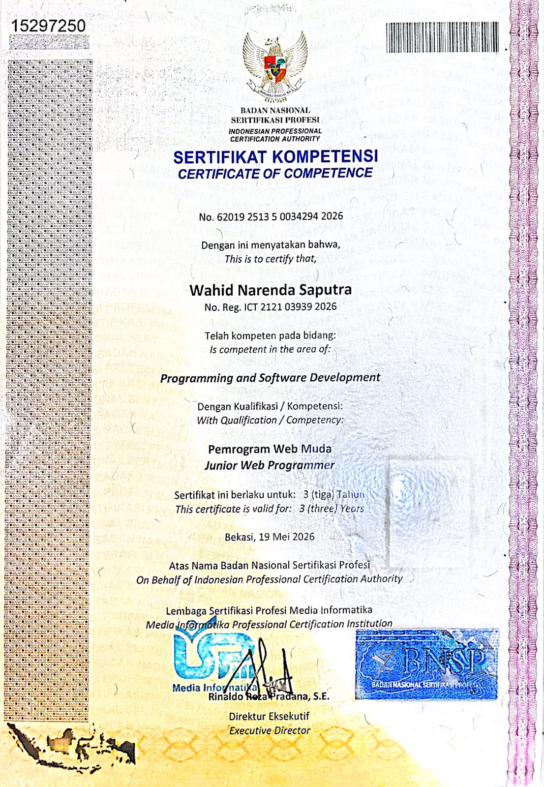 Junior Web Programmer